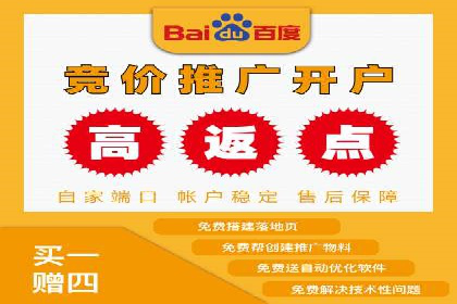 实战解析：百度竞价代运营公司如何实现广告投放效果最大化